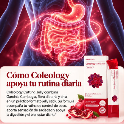 Cutting Jelly · Gelatina coreana para desinflamar el vientre ⭐