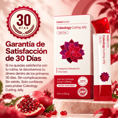 Cutting Jelly · Gelatina coreana para desinflamar el vientre ⭐