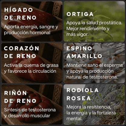 Primal Viking: Potenciador de Testosterona Ancestral