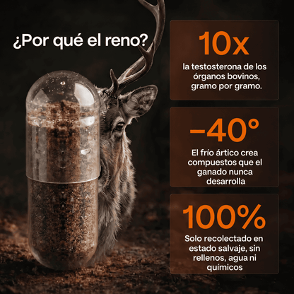 Primal Viking: Potenciador de Testosterona Ancestral