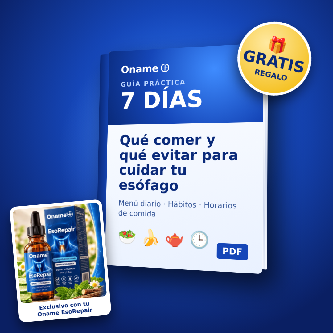 🎁 Guía de alimentación (Regalo)
